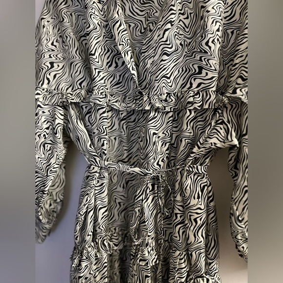 SANDRO 100 % SILK Salome belted zebra-print silk-twill dress - Small - Picture 13 of 16